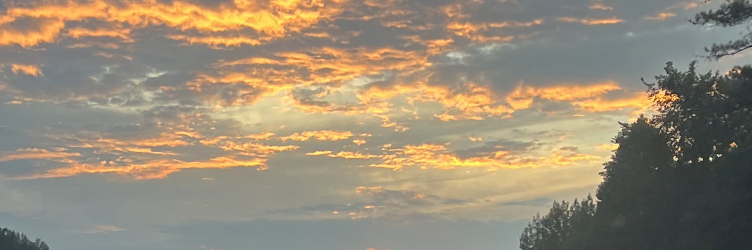 Jala 🦋 banner