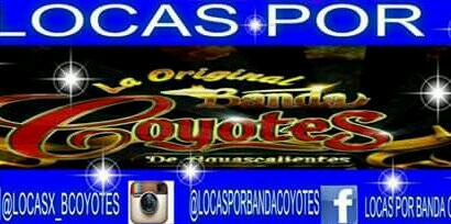 LOCASX_BCOYOTES's profile banner image