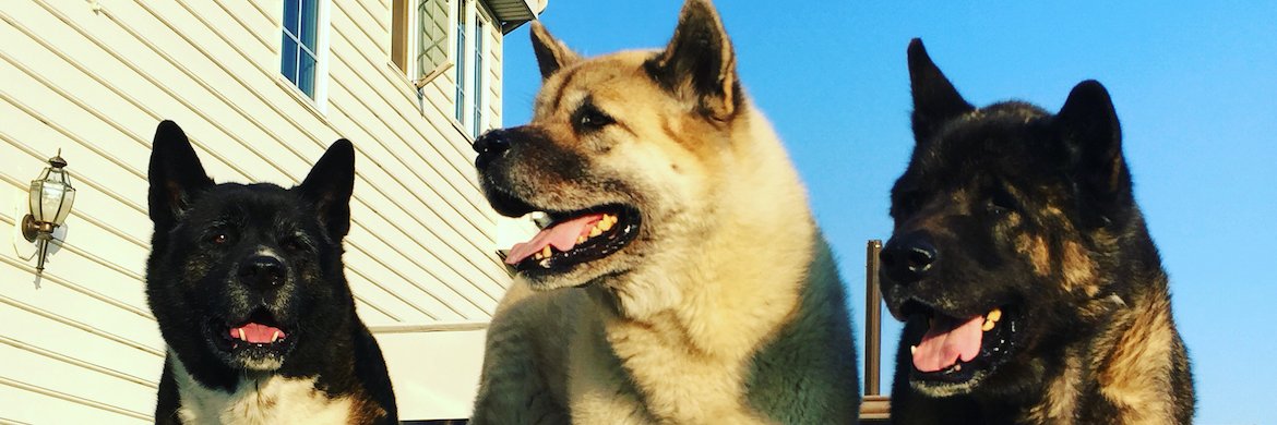BigBHarris7's profile banner image