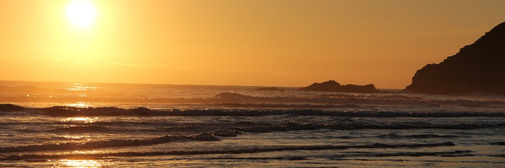 mindyhardwick's profile banner image