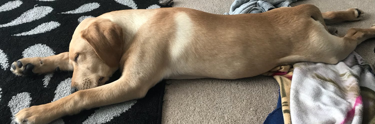 lucy_tyler7's profile banner image