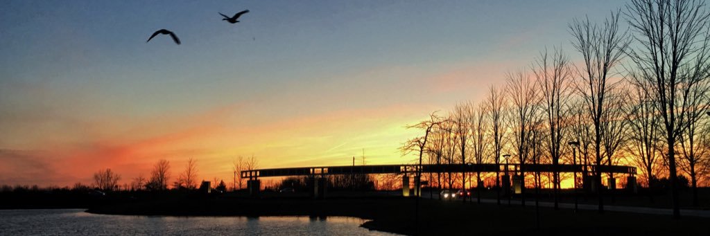 svsustuaffairs's profile banner image