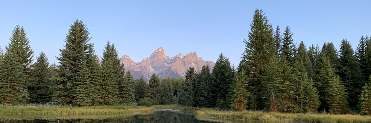 Andrew P. Minigan banner