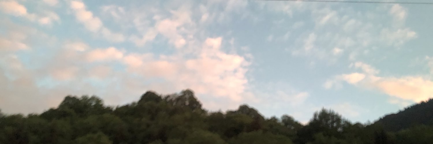 celikkubraa's profile banner image