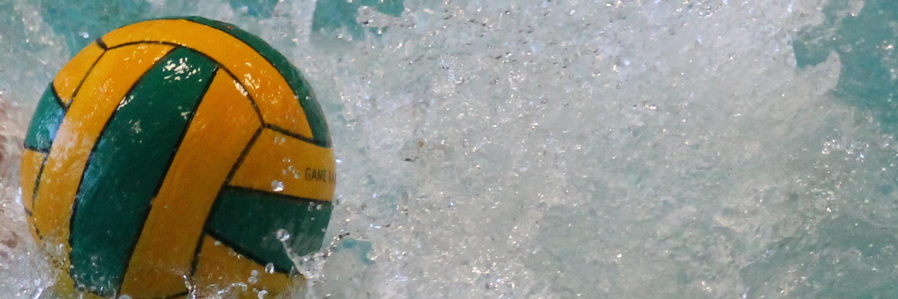ualbertawpolo's profile banner image
