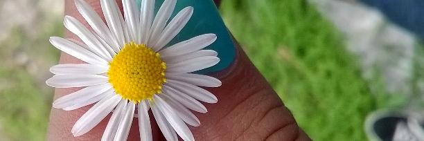 EdiithBlanco's profile banner image