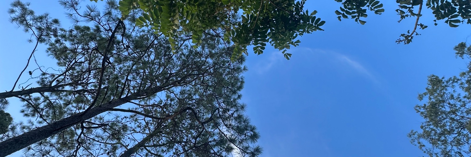 Leonardo A. Sánchez 🇭🇳 banner