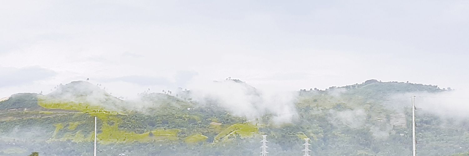 trixdevi's profile banner image