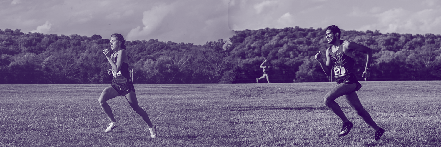 NYU XCTF banner