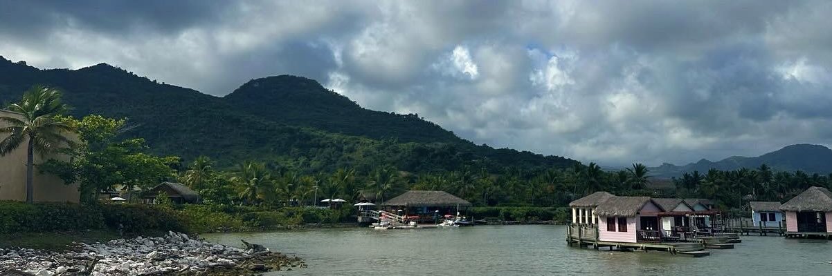 aleeshashafer's profile banner image