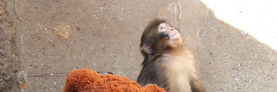 Christian D'Angelo banner