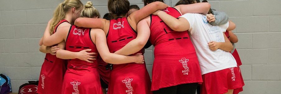 Napier Netball banner