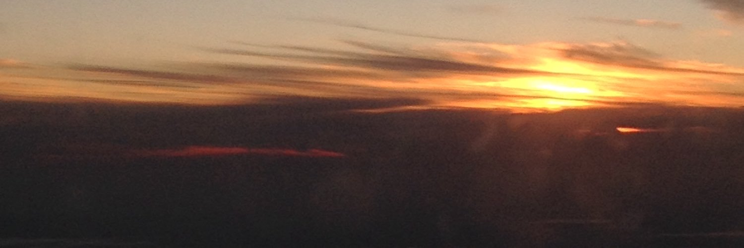 Daniela Colom banner