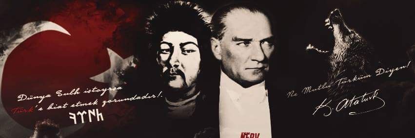comolokkoprofid's profile banner image