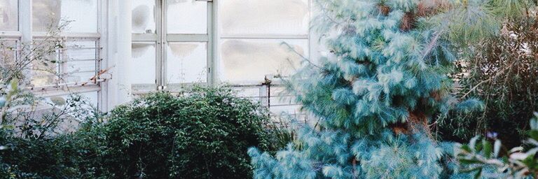 chme_dreamer's profile banner image