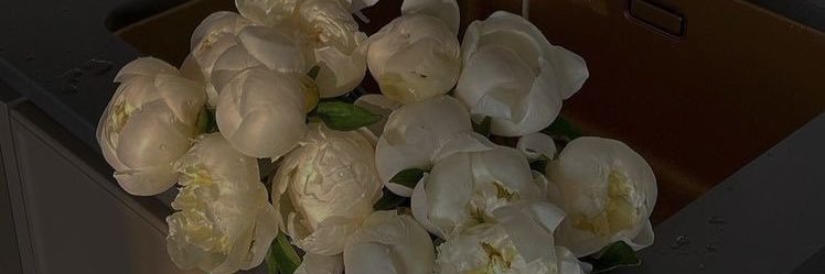 elenagallvan's profile banner image