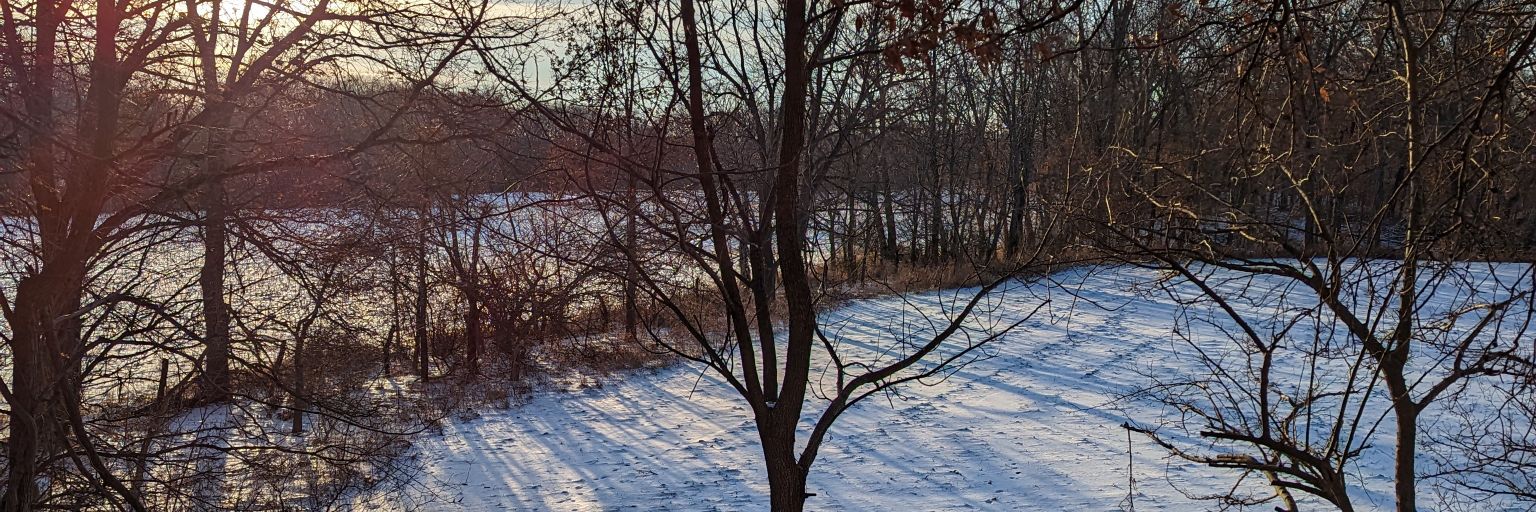 YouveGotMayall's profile banner image
