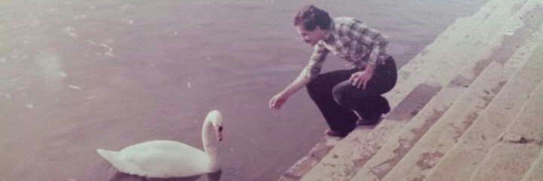 HebaYosry3's profile banner image