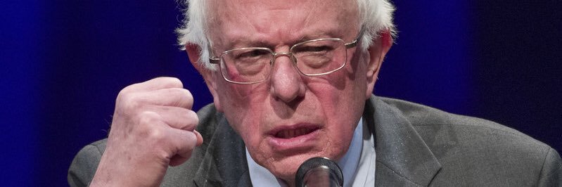 NOT Bernie Sanders banner