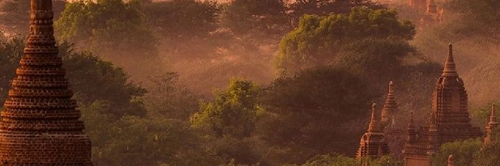 Tbrainyz's profile banner image
