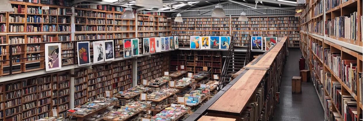 Daniela Avilés banner