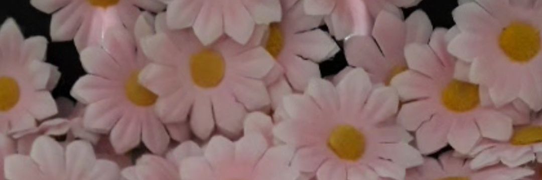 saronh__209's profile banner image