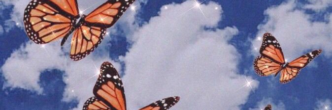 maddiialexander's profile banner image