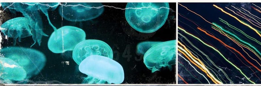 ®️ banner