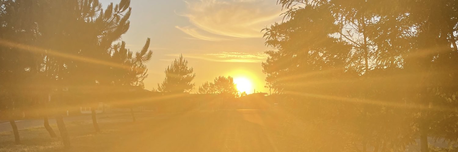 Alex_tntti's profile banner image