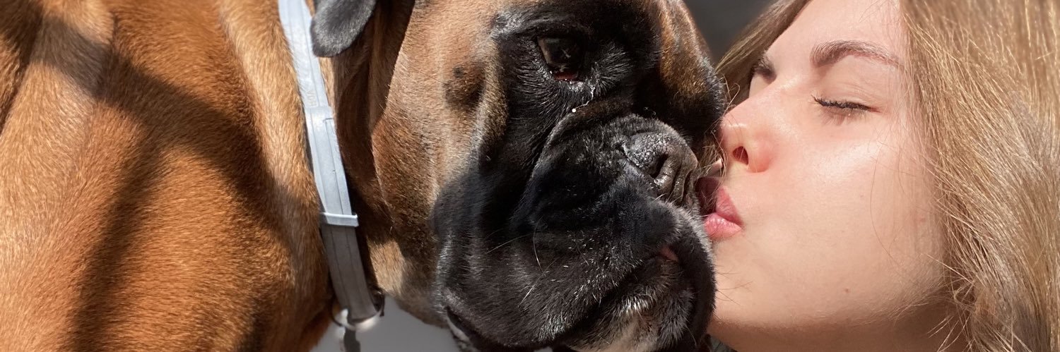 carolbaci's profile banner image