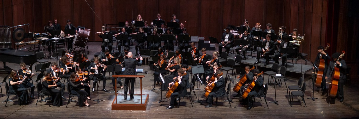 TLH Youth Orchestras banner