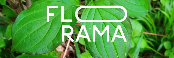 floramapepi's profile banner image