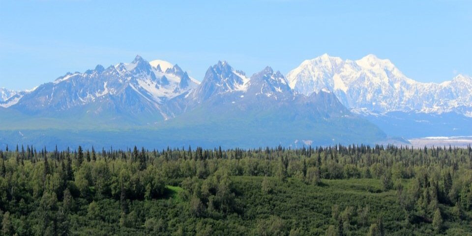 ambearpetersen's profile banner image