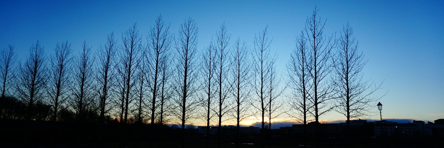 m01600308's profile banner image