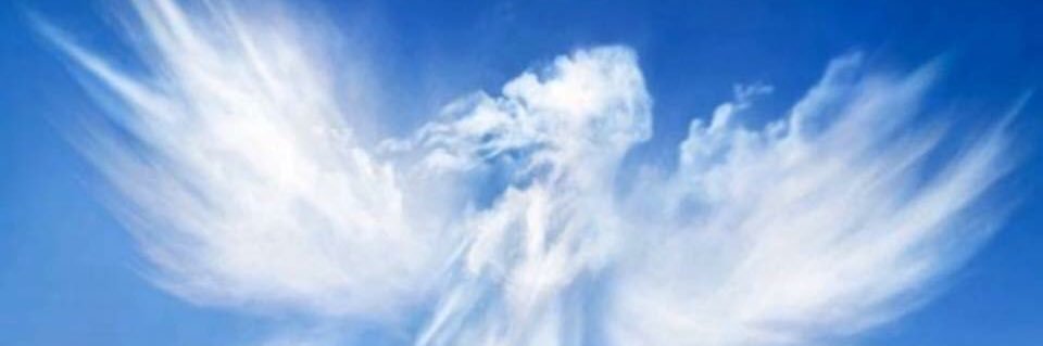 {🌟}🥀 Saphina 🥀 {🌟} banner