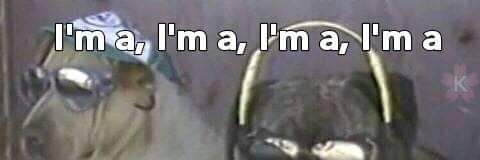 TooOutReachedIn's profile banner image
