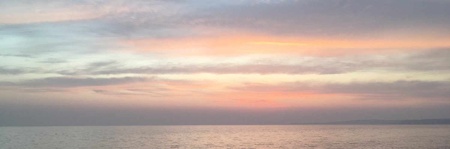 FifiFleitas7's profile banner image
