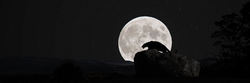 dixoncade1's profile banner image