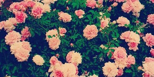 itsbellabcl's profile banner image
