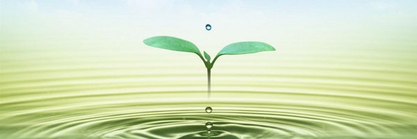 Dataimage Profile Banner