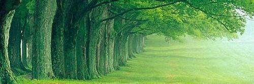 SpannendBuiten's profile banner image