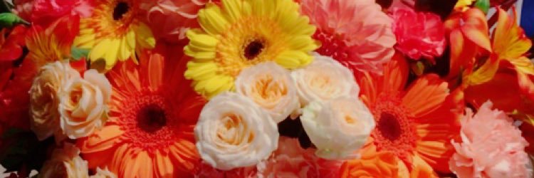 mi_53__'s profile banner image