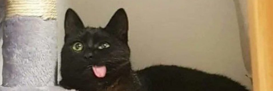 poorbrett's profile banner image