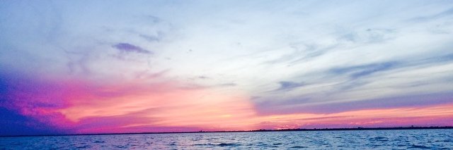 Chillaxasurus's profile banner image
