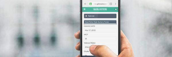 GDSWare Profile Banner