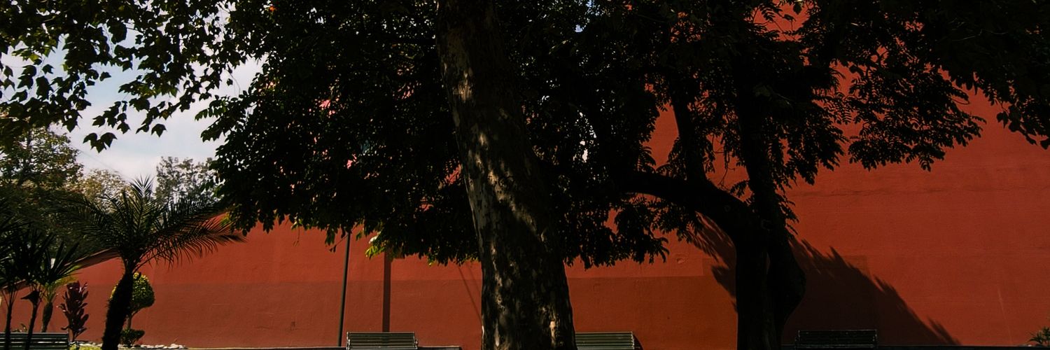 VdeDon_'s profile banner image
