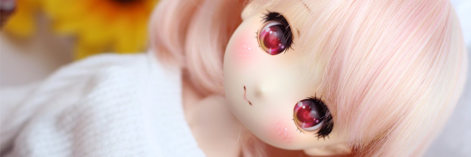 DOLLCE's banner