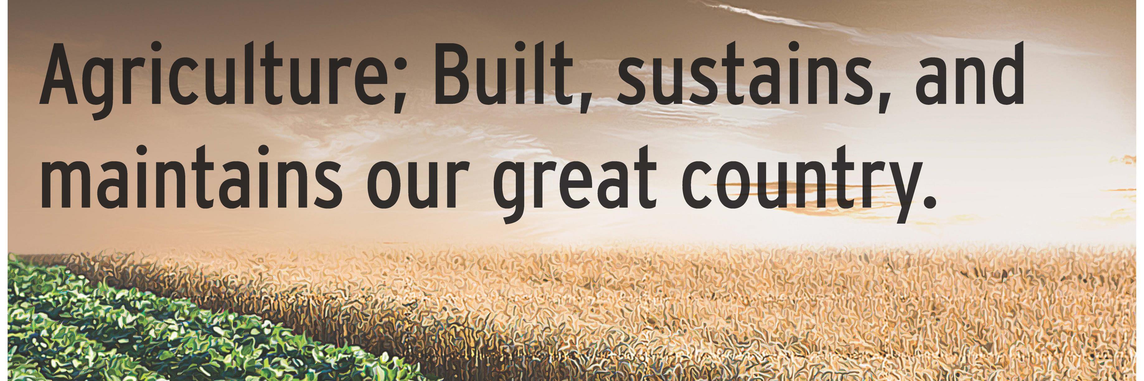 debra conlon banner