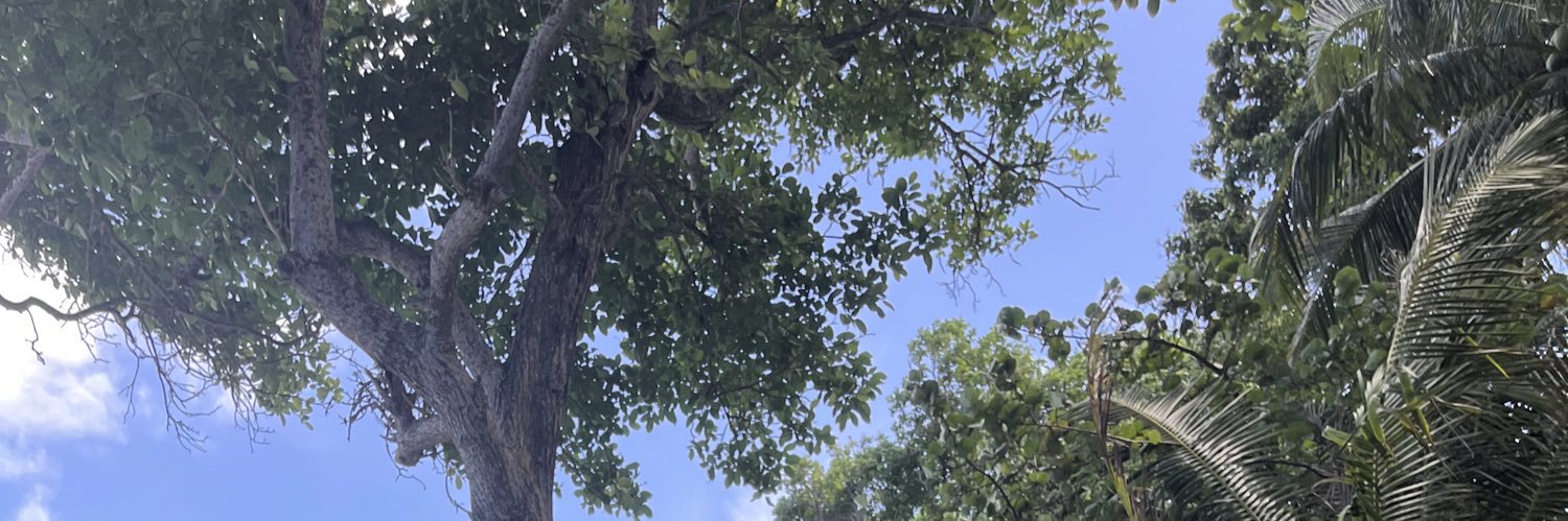obsessed. banner