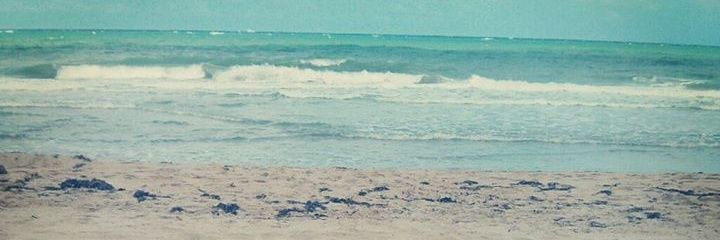 _natashakhan's profile banner image